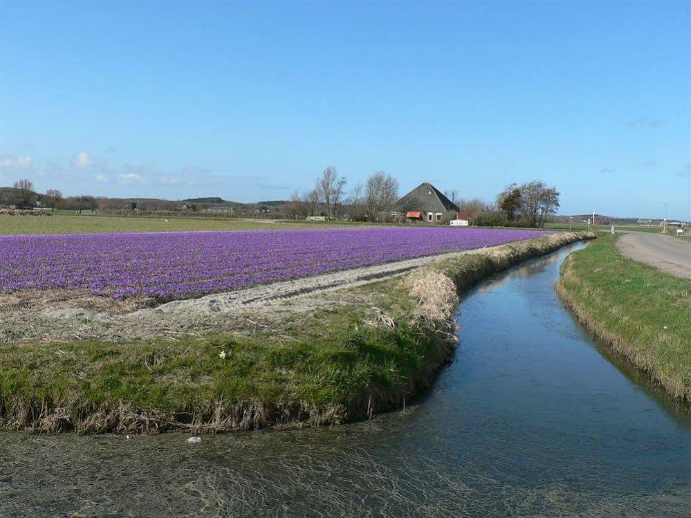 Europarcs De Woudhoeve Egmond aan den Hoef Exteriör bild